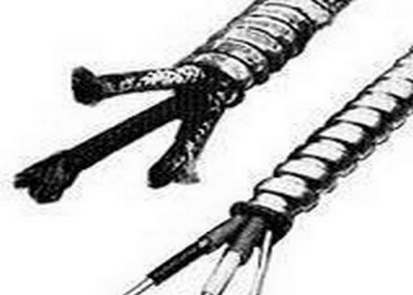 Rag wire in a metal shield - (Can be found in conduit, non-metallic cable)